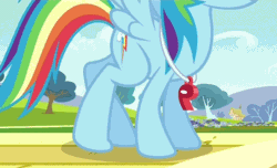 Size: 464x283 | Tagged: safe, derpibooru import, screencap, rainbow dash, pony, female, gif, image, legs, mare, pictures of legs, stretching