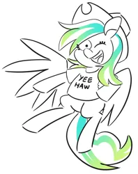Size: 2695x3395 | Tagged: safe, artist:threetwotwo32232, derpibooru import, oc, oc:cool time, pegasus, pony, clothes, cowboy hat, female, hat, image, looking at you, mare, png, shirt, t-shirt