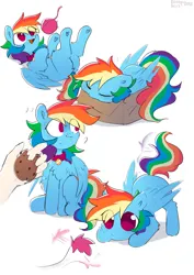 Size: 1341x1895 | Tagged: safe, artist:enderselyatdark, derpibooru import, rainbow dash, pegasus, pony, behaving like a cat, box, chest fluff, collar, cookie, disembodied hand, eye clipping through hair, eyes closed, floppy ears, food, hand, happy, if i fits i sits, image, jpeg, leaf, lying down, on back, pony in a box, pony pet, simple background, sleeping, smiling, solo focus, tail, tail wag, white background, yarn, yarn ball