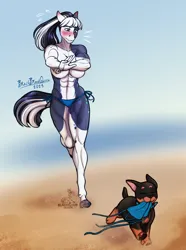 Size: 2880x3870 | Tagged: suggestive, artist:blackblood-queen, derpibooru import, oc, oc:clarabelle meadow, unofficial characters only, anthro, dog, earth pony, pony, unguligrade anthro, abs, anthro oc, assisted exposure, beach, big breasts, bikini, bikini top, blushing, breasts, busty oc, chase, clothes, collar, earth pony oc, embarrassed body exposure, female, image, mare, muscles, muscular female, png, ponytail, puppy, rottweiler, running, sand, swimsuit