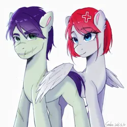Size: 1080x1080 | Tagged: safe, artist:xiaowu07, derpibooru import, oc, unofficial characters only, earth pony, pegasus, pony, duo, female, image, male, png, scar, shipping, simple background, white background