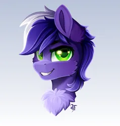 Size: 2000x2100 | Tagged: safe, artist:rainbowfire, derpibooru import, oc, unofficial characters only, earth pony, pony, bust, chest fluff, cute, ear fluff, fluffy, image, looking at you, male, png, purple hair, simple background, smiling, stallion