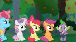 Size: 2160x1205 | Tagged: safe, derpibooru import, screencap, apple bloom, cup cake, scootaloo, spike, sweetie belle, dragon, earth pony, pegasus, pony, unicorn, the big mac question, apple, apple tree, bowtie, clothes, food, formal wear, happy, image, jpeg, orchard, sat down, smiling, suit, sweet apple acres, tree, tuxedo