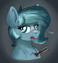 Size: 1701x1854 | Tagged: semi-grimdark, artist:reddthebat, derpibooru import, oc, oc:alaska (reddthebat), unofficial characters only, ghost, ghost pony, pegasus, pony, undead, arrow, blood, bust, female, image, injured, jpeg, lidded eyes, mare, open mouth, solo, vulgar