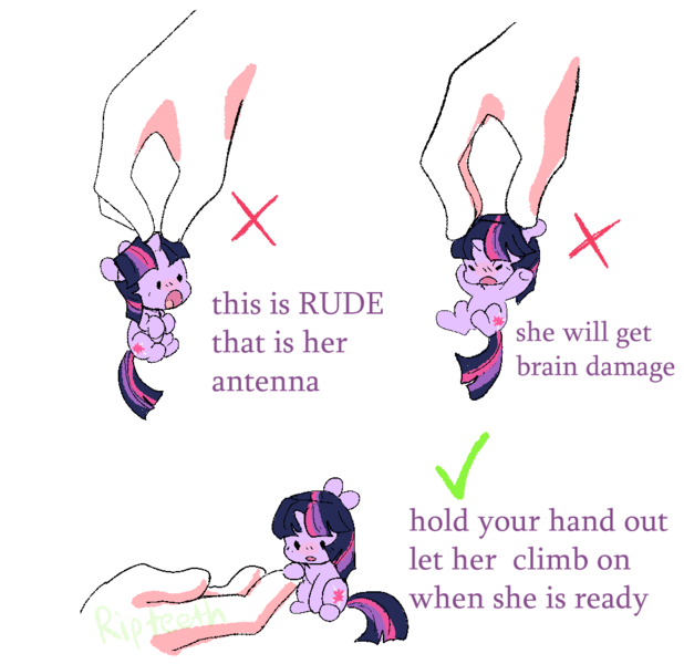 Size: 979x950 | Tagged: safe, artist:ripteeth, derpibooru import, twilight sparkle, human, pony, unicorn, :o, angry, check mark, chibi, cute, disembodied hand, floppy ears, funny, hand, holding a pony, how to handle a pony, image, meme, micro, open mouth, png, simple background, smol, solo focus, text, tiny, tiny ponies, twiabetes, unicorn twilight, white background