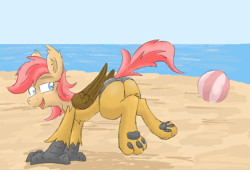 Size: 1933x1318 | Tagged: safe, artist:pzkratzer, derpibooru import, oc, oc:ponygriff, hippogriff, ball, beach, beach ball, butt, clothes, flockmod, hippogriff oc, image, male, paw pads, paws, plot, png, stupid sexy, swimming trunks, swimsuit, underpaw