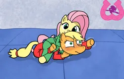 Size: 1006x643 | Tagged: safe, artist:author92, derpibooru import, applejack, fluttershy, earth pony, pegasus, pony, chokehold, clothed ponies, clothes, dougi, gi, image, leg lock, martial arts, pinned, png, red face, smiling