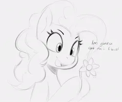Size: 908x763 | Tagged: safe, artist:tre, derpibooru import, pinkie pie, earth pony, pony, dialogue, female, flower, holding something, horses doing horse things, image, jpeg, looking at something, mare, monochrome, open mouth, sketch, solo, solo female