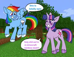 Size: 1400x1080 | Tagged: safe, artist:exxi00, derpibooru import, rainbow dash, twilight sparkle, pegasus, pony, unicorn, chest fluff, duo, image, jpeg, minecraft, smiling, standing, text