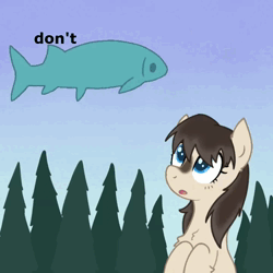 Size: 720x720 | Tagged: safe, artist:superderpybot, oc, oc:frosty flakes, unofficial characters only, fish, pony, taiga pony, animated, blue eyes, brown mane, coat markings, female, image, mare, meme, open mouth, rotating, solo, song, spinning, webm