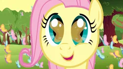 Size: 1920x1080 | Tagged: safe, derpibooru import, screencap, fluttershy, butterfly, insect, pegasus, pony, season 1, the cutie mark chronicles, 1080p, close-up, cute, eye reflection, female, filly, filly fluttershy, foal, happy, image, open mouth, png, reflection, shyabetes, solo, tree, younger