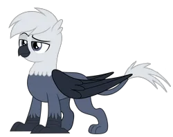 Size: 5000x3977 | Tagged: safe, artist:ponygamer2020, derpibooru import, oc, oc:grey, oc:grey the griffon, unofficial characters only, gryphon, claws, eyebrows, griffon oc, hair, image, male, png, raised eyebrow, simple background, smiling, solo, tail, transparent background, vector, wings