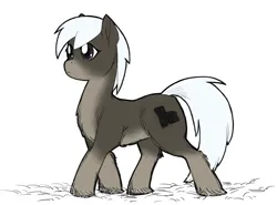 Size: 2370x1758 | Tagged: safe, artist:snspony, oc, oc:snow slide, unofficial characters only, pony, taiga pony, female, image, mare, pale belly, png, simple background, snow, socks (coat marking), solo, unshorn fetlocks, white background