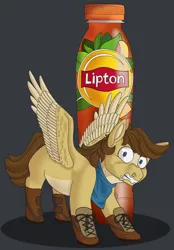 Size: 2090x3000 | Tagged: safe, artist:grrawesomeness, derpibooru import, oc, oc:buttercup, pegasus, angry, bandana, behaving like a dog, boots, clothes, ice tea, image, lipton, png, product placement, shoes, solo, wat