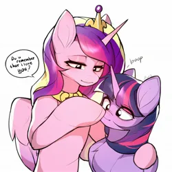 Size: 2048x2048 | Tagged: safe, artist:minekoo2, derpibooru import, princess cadance, twilight sparkle, alicorn, pony, boop, duo, female, hug, image, jpeg, speech bubble