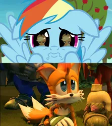 Size: 1920x2160 | Tagged: safe, derpibooru import, edit, rainbow dash, grannies gone wild, ashleigh ball, image, miles "tails" prower, png, sonic the hedgehog (series), voice actor joke