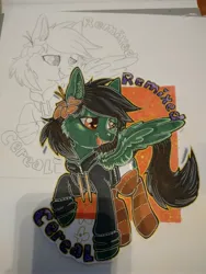 Size: 3000x4000 | Tagged: safe, artist:annuthecatgirl, derpibooru import, oc, oc:remixed cereal, unofficial characters only, pegasus, badge, image, jpeg, photo, solo, traditional art, wip