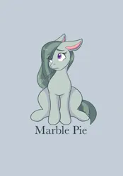 Size: 1423x2048 | Tagged: safe, artist:mscolorsplash, derpibooru import, marble pie, earth pony, pony, cute, image, marblebetes, png, simple background, sitting, tail