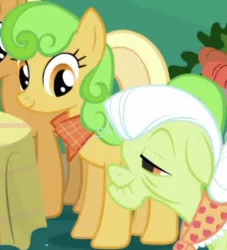 Size: 376x414 | Tagged: safe, derpibooru import, screencap, perfect pie, earth pony, pony, friendship is magic, apple family member, background character, background pony, cropped, female, image, mare, png