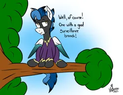 Size: 1210x935 | Tagged: safe, artist:whirlwindflux, derpibooru import, oc, oc:whirlwind flux, pegasus, pony, image, in a tree, male, png, shadowbolts, solo, stallion, tree