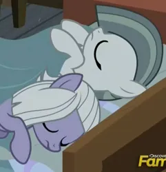 Size: 684x710 | Tagged: safe, derpibooru import, screencap, limestone pie, marble pie, pony, discovery family, discovery family logo, female, image, jpeg, logo, siblings, sisters, sleeping, solo