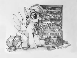 Size: 1920x1440 | Tagged: safe, artist:share dast, derpibooru import, edit, oc, oc:summer ray, unofficial characters only, pegasus, pony, image, not rainbow dash, png, server, solo, traditional art, wires