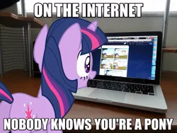 Size: 639x480 | Tagged: safe, artist:mlpmemearchive, derpibooru import, twilight sparkle, pony, unicorn, butt, caption, computer, female, image, image macro, irl, jpeg, laptop computer, looking at something, mare, meme, photo, plot, ponies in real life, solo, solo female, text, unicorn twilight