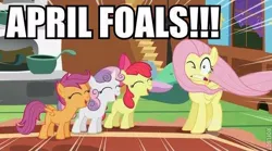 Size: 600x334 | Tagged: safe, artist:mlpmemearchive, derpibooru import, screencap, apple bloom, scootaloo, sweetie belle, earth pony, pegasus, pony, caption, female, filly, foal, group, image, image macro, jpeg, text