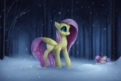 Size: 960x640 | Tagged: safe, derpibooru import, machine learning assisted, machine learning generated, fluttershy, pegasus, pony, cute, female, forest, image, mare, png, snow, snowfall, solo, tree