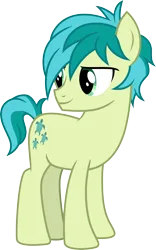 Size: 3000x4820 | Tagged: safe, artist:cloudyglow, derpibooru import, sandbar, earth pony, pony, non-compete clause, high res, image, lidded eyes, male, png, simple background, solo, stallion, teenager, transparent background, vector