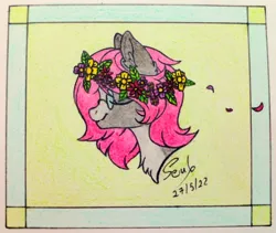 Size: 1280x1081 | Tagged: safe, artist:soulfulmirror, derpibooru import, oc, oc:soulful mirror, unofficial characters only, pony, bust, eyes closed, floral head wreath, flower, flower in hair, glasses, image, jpeg, ponysona, portrait, solo, traditional art