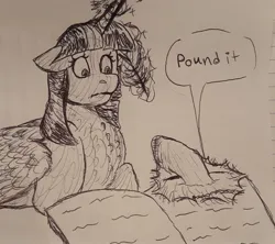 Size: 2048x1817 | Tagged: safe, artist:violetpony11, derpibooru import, sunset shimmer, twilight sparkle, twilight sparkle (alicorn), alicorn, pony, image, jpeg, monochrome, sketch, sunset's journal, traditional art