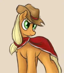 Size: 827x950 | Tagged: safe, artist:ahorseofcourse, derpibooru import, applejack, earth pony, pony, clothes, image, png, poncho, solo