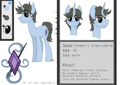 Size: 1280x897 | Tagged: safe, artist:thevixvix, derpibooru import, oc, oc:tenebris sidera, unofficial characters only, pony, unicorn, image, male, png, reference sheet, simple background, solo, stallion, transparent background