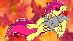 Size: 1920x1080 | Tagged: safe, artist:koapony, derpibooru import, oc, oc:koa, unofficial characters only, pegasus, pony, clothes, coffee, colored wings, colored wingtips, eye clipping through hair, eyebrows, eyebrows visible through hair, hoodie, image, jpeg, looking at you, solo, spread wings, two toned wings, underhoof, wings