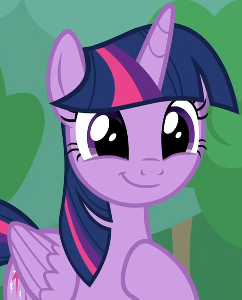 Size: 792x983 | Tagged: safe, derpibooru import, screencap, twilight sparkle, twilight sparkle (alicorn), alicorn, pony, season 9, the ending of the end, spoiler:s09, adorkable, cropped, cute, dork, female, folded wings, happy, hoof on chest, image, mare, png, proud, smiling, solo, twiabetes, victory, wings