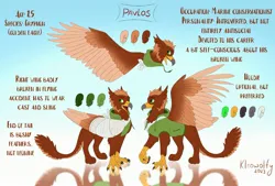 Size: 3123x2111 | Tagged: safe, artist:kleowolfy, derpibooru import, oc, oc:pavlos, unofficial characters only, gryphon, bandage, broken bone, broken wing, cast, chest fluff, claws, eared griffon, griffon oc, image, injured, jpeg, reference sheet, simple background, sling, wing cast, wing sling, wings