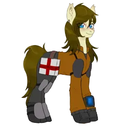 Size: 5800x5800 | Tagged: safe, artist:azusa, derpibooru import, oc, oc:dusty heartwood, unofficial characters only, earth pony, pony, fallout equestria, armor, ashes town, bag, blue eyes, brown mane, ear piercing, earring, facial scar, image, jewelry, medic, medical saddlebag, piercing, pipbuck, png, red cross, scar, solo