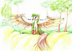 Size: 2560x1828 | Tagged: safe, artist:freeponypictures, derpibooru import, oc, unofficial characters only, pegasus, pony, antenna, dipole, female, giant pony, image, jpeg, macro, mare, mouth hold, radio, spread wings, trap dipole, tree, wings, wire antenna