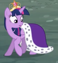 Size: 485x528 | Tagged: safe, derpibooru import, screencap, twilight sparkle, twilight sparkle (alicorn), alicorn, pony, princess twilight sparkle (episode), clothes, cropped, crown, female, image, jewelry, jpeg, mare, regalia, robe, royalty, solo, solo female