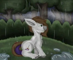 Size: 3212x2657 | Tagged: safe, artist:lil_vampirecj, derpibooru import, oc, oc:cj vampire, unofficial characters only, earth pony, pony, digital, digital art, forest, forest background, image, krita, png, puddle, rain, scene, sitting, solo, tree