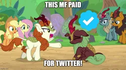 Size: 888x499 | Tagged: safe, derpibooru import, edit, edited screencap, editor:icicle-wicicle-1517, screencap, applejack, autumn blaze, cinder glow, fluttershy, pumpkin smoke, sparkling brook, summer flare, earth pony, kirin, pegasus, pony, sounds of silence, angry, background kirin, bamboo, blue checkmark, caption, current events, female, floppy ears, frown, gritted teeth, image, image macro, imgflip, jpeg, leg fluff, lidded eyes, male, meme, meta, open mouth, pointing, raised hoof, sad, sitting, teeth, text, twitter, underhoof, verified, wide eyes