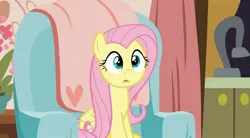 Size: 2160x1196 | Tagged: safe, derpibooru import, screencap, fluttershy, pegasus, pony, discordant harmony, chair, curtains, folded wings, image, jpeg, kitchen, kitchen sink, living room, plant, sink, sitting, solo, surprised, wings