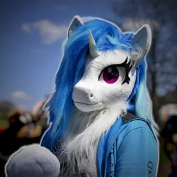 Size: 1999x1999 | Tagged: safe, artist:essorille, artist:vinylpone, derpibooru import, vinyl scratch, anthro, human, pony, unicorn, blue mane, blurry background, clothes, cosplay, costume, cute, female, furry, fursuit, gloves, hoodie, hooves, image, irl, irl human, jpeg, looking at you, mare, outdoors, photo, ponysuit, pose, posing for photo, public, purple eyes, purple hair, ruffled hair, tree