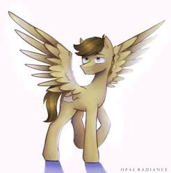 Size: 2800x2840 | Tagged: safe, artist:opal_radiance, derpibooru import, oc, unnamed oc, unofficial characters only, pegasus, pony, eyebrows, high res, image, male, pegasus oc, png, raised hoof, shadow, signature, simple background, smiling, solo, spread wings, stallion, white background, wings