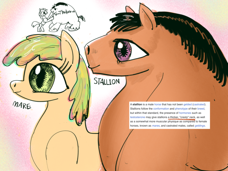 Size: 4000x3000 | Tagged: safe, artist:ja0822ck, derpibooru import, oc, unofficial characters only, pony, female, image, male, mare, png, stallion, thick