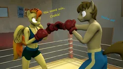 Size: 1920x1080 | Tagged: safe, artist:fuzeamateursfm, derpibooru import, part of a set, spitfire, oc, oc:chocolate chips, anthro, earth pony, pegasus, 3d, anthro oc, boxing, boxing gloves, boxing ring, dialogue, female, image, male, png, source filmmaker, sports, text