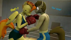 Size: 1920x1080 | Tagged: safe, artist:fuzeamateursfm, derpibooru import, part of a set, spitfire, oc, oc:chocolate chips, anthro, earth pony, pegasus, 3d, anthro oc, boxing, boxing gloves, boxing ring, dialogue, female, image, male, png, punch, source filmmaker, sports, text