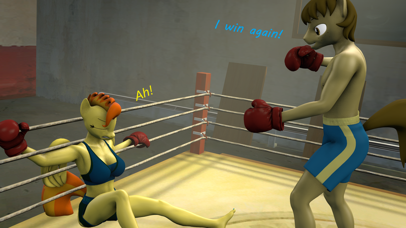 Size: 1920x1080 | Tagged: safe, artist:fuzeamateursfm, derpibooru import, part of a set, spitfire, oc, oc:chocolate chips, anthro, earth pony, pegasus, 3d, anthro oc, boxing, boxing gloves, boxing ring, dialogue, female, image, male, on ground, png, punch, source filmmaker, sports, text