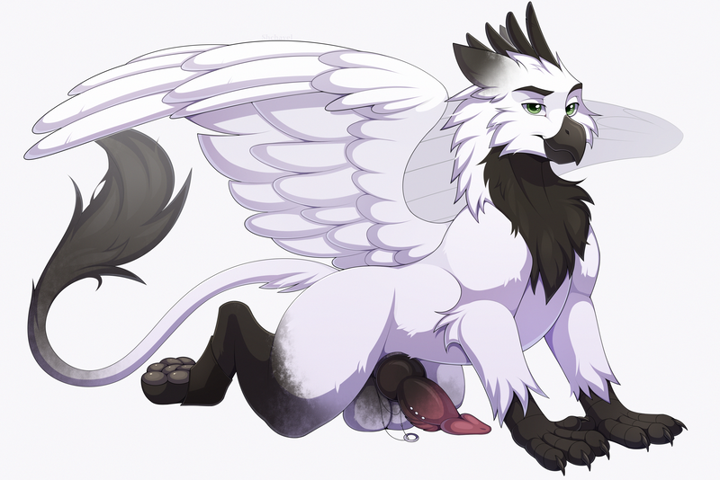 Size: 4000x2671 | Tagged: explicit, artist:shchavel, derpibooru import, oc, oc:flint(captain), unofficial characters only, gryphon, advertisement, art, bedroom eyes, cheek fluff, claws, commission, commission open, erection, eyebrows, feathered wings, genital piercing, griffon oc, griffon penis, high res, image, knot, knotted penis, leonine tail, looking at you, male, nudity, paws, penile piercing, penis, piercing, png, simple background, smiling, smiling at you, solo, solo male, tail, white background, wings, ych example, your character here